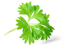 Immagine di Validare i form con javascript e Parsley.js