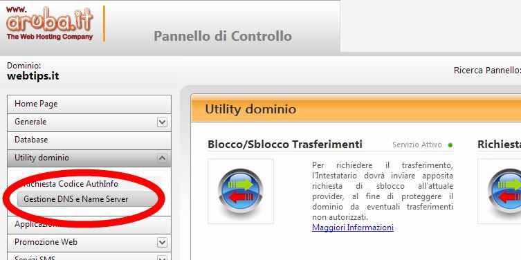 Clicca Gestione DNS e Name Server